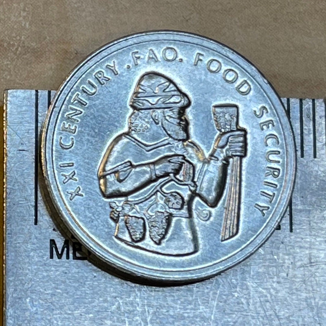 Hittite Storm God Tarhunzas 50,000 Lira Turkey Authentic Coin Money for Jewelry and Craft Making (Fertility, Grapes, Ivriz Relief)