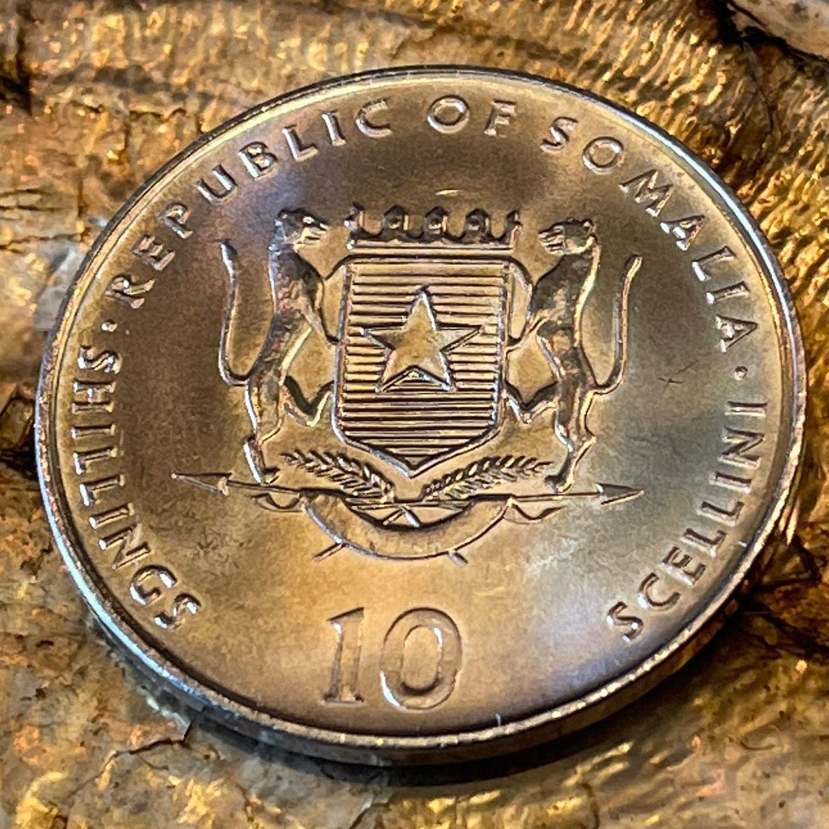 Year of the Rabbit 10 Shillings Somalia Authentic Coin Money for Jewelry and Craft Making (Chinese Zodiac) (African Wild Hare)
