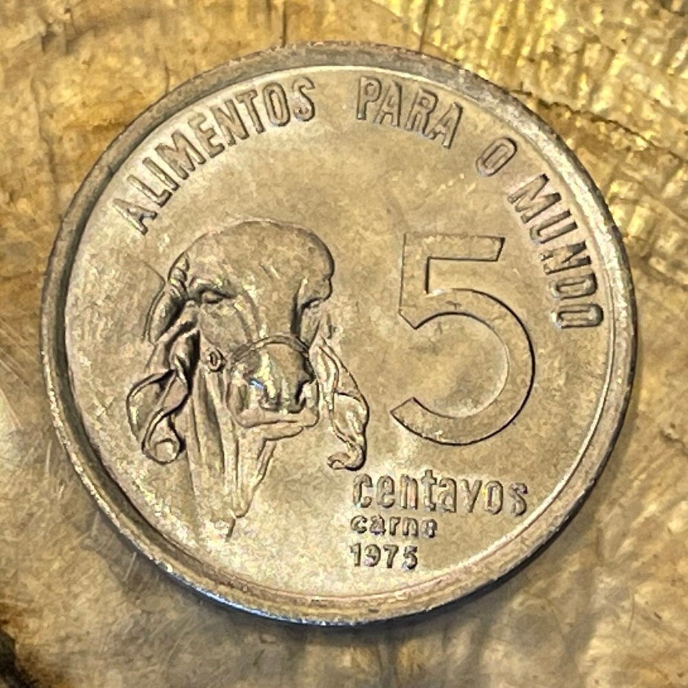 Zebu & Liberty Head 5 Centavos Brazil Authentic Coin Money for Jewelry and Craft Making