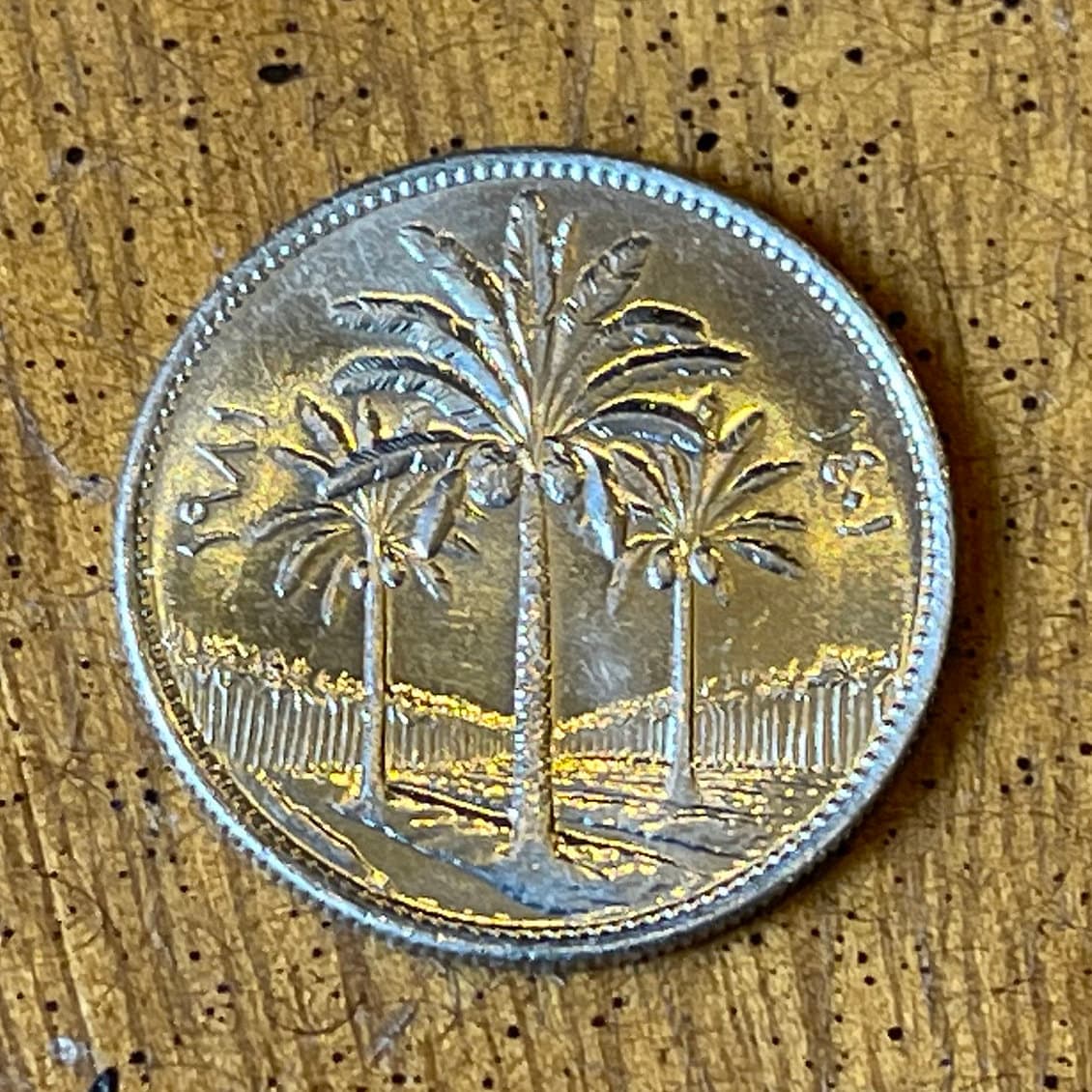 Date Palm Trees 25 Fils Iraq Authentic Coin Money for Jewelry and Craft Making