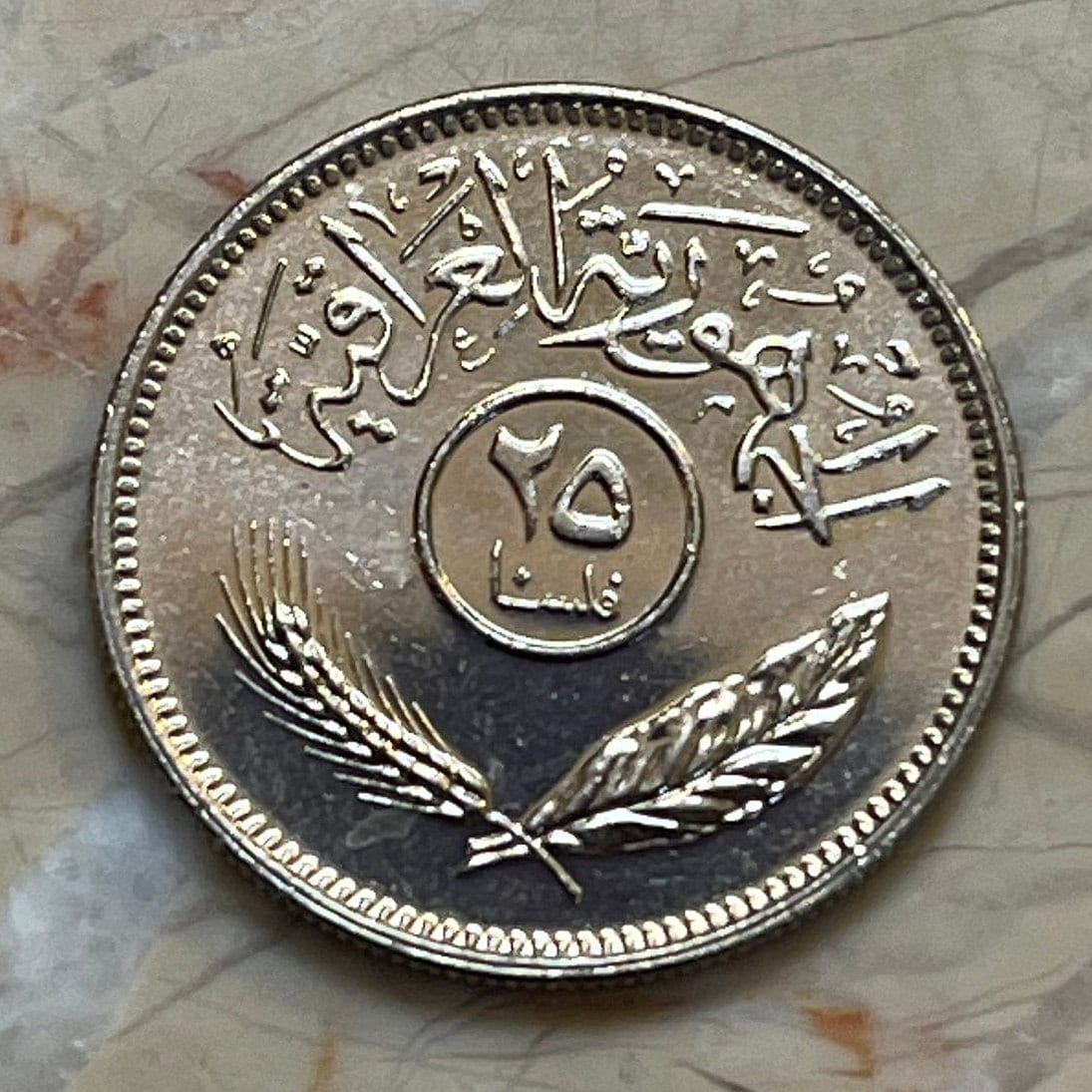 Date Palm Trees 25 Fils Iraq Authentic Coin Money for Jewelry and Craft Making