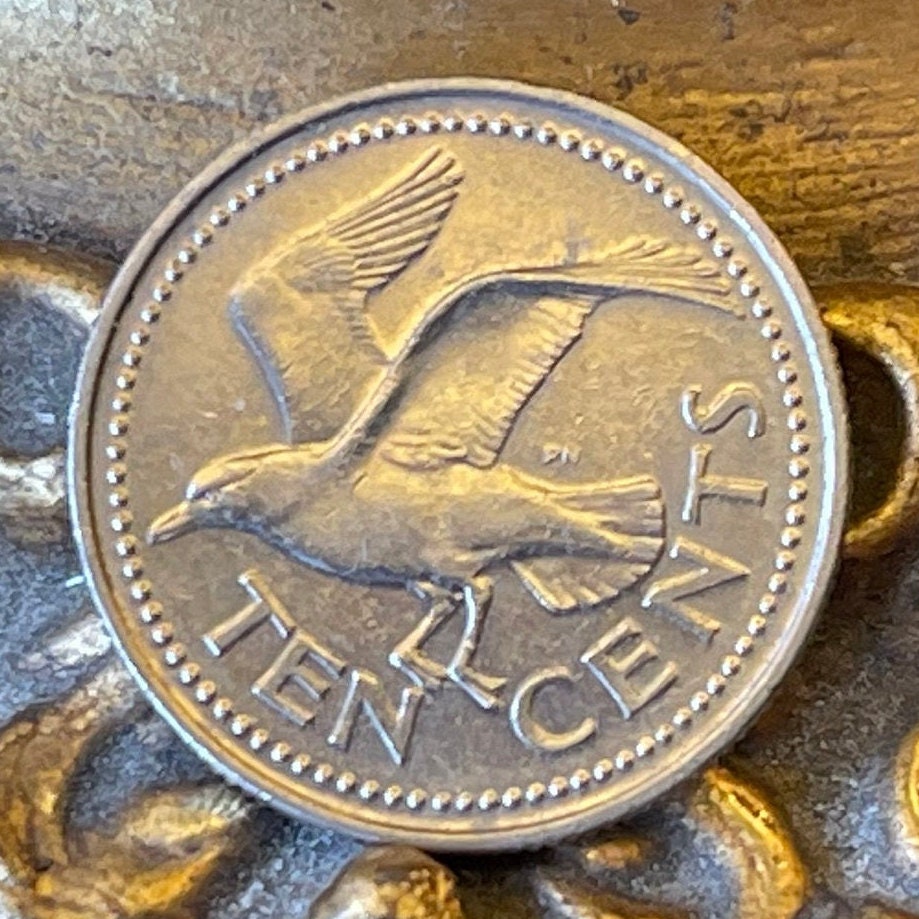 Laughing Gull 10 Cents Barbados Authentic Coin Money for Jewelry and Craft Making (Seagull))