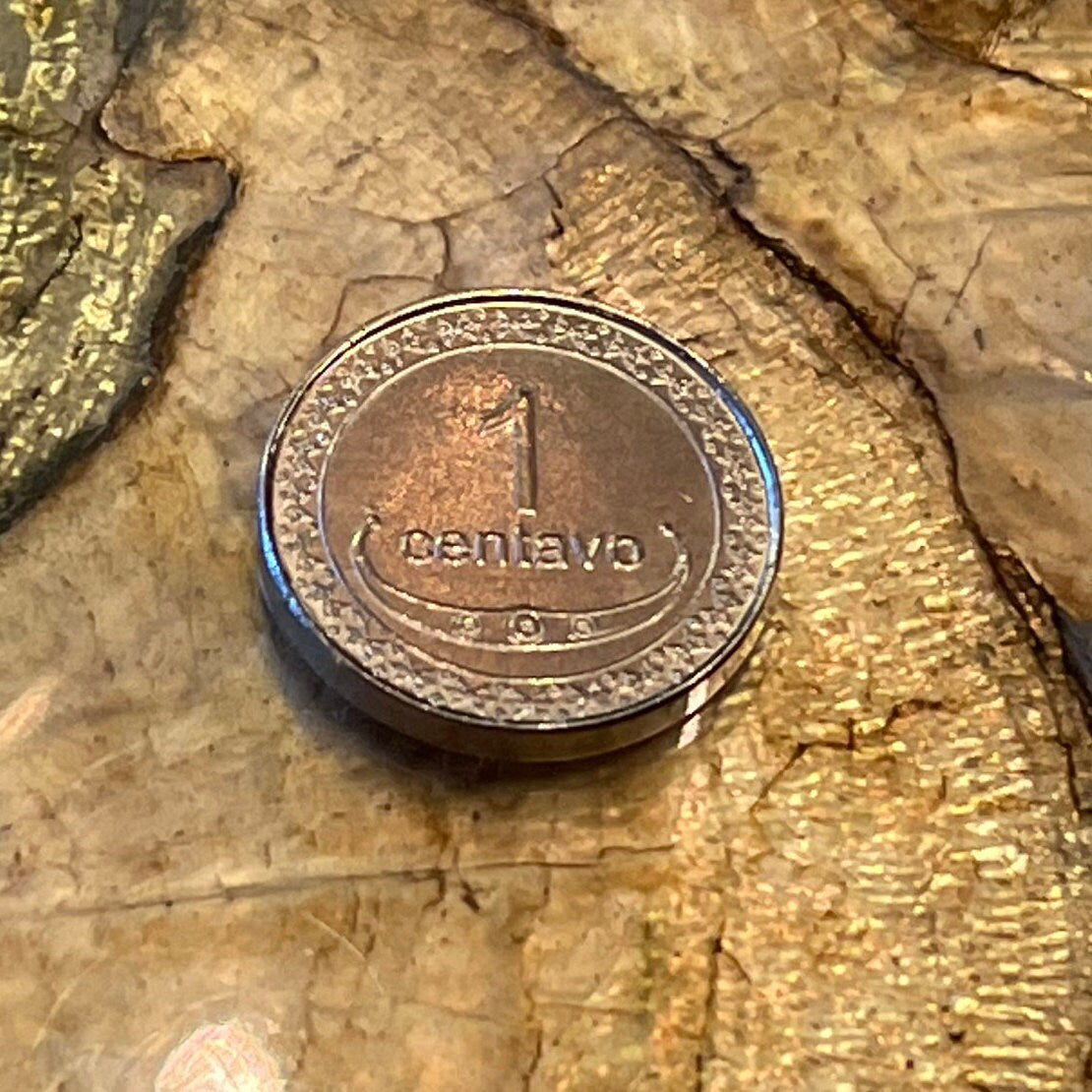 Spiral Nautilus 1 Centavo Timor Authentic Coin Money for Jewelry and Craft Making
