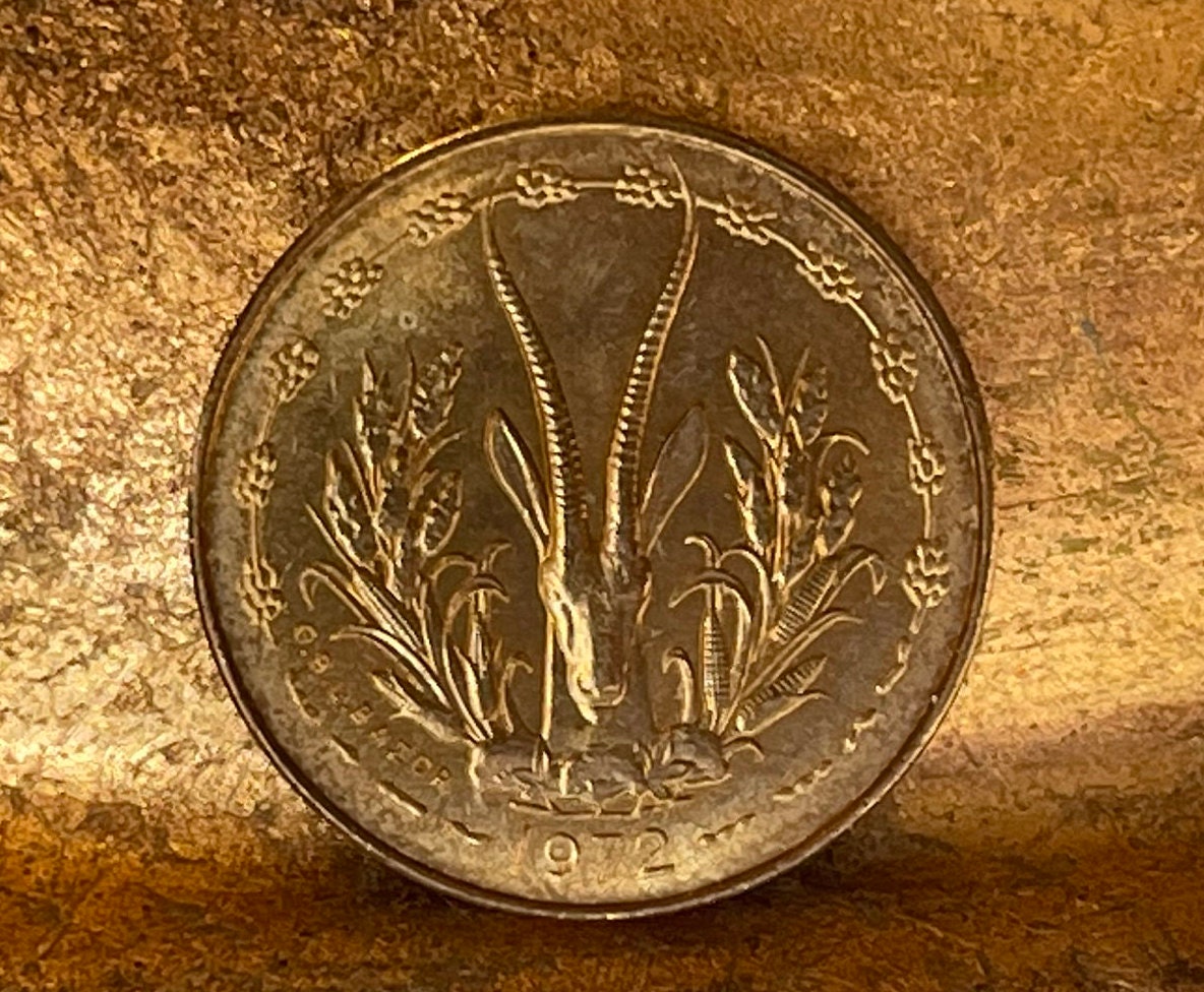 Dama Gazelle 5 CFA Francs & Akan Sawfish Goldweight West African States Authentic Coin Money 5 Francs for Jewelry and Craft Making