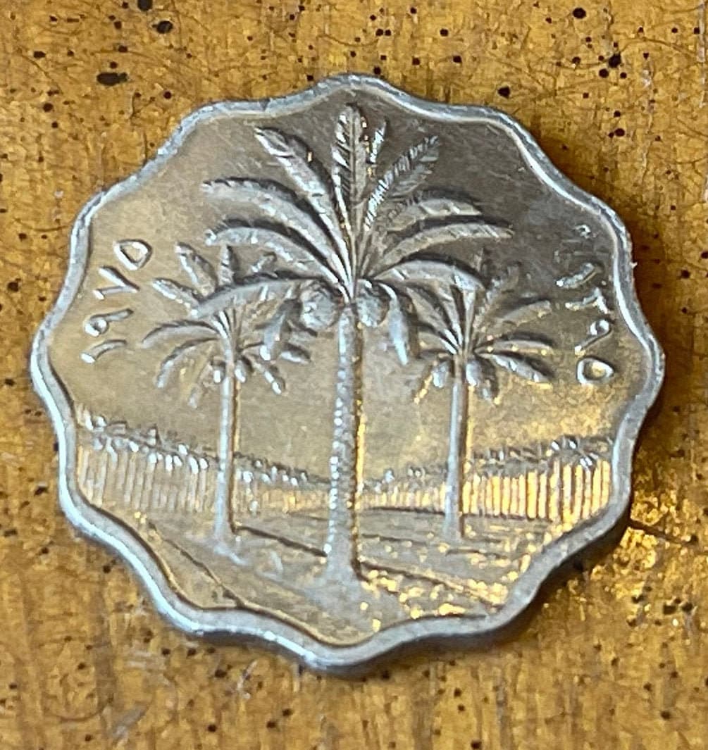 Date Palm Trees 5 Fils Iraq Authentic Coin Money for Jewelry and Craft Making (Scalloped)