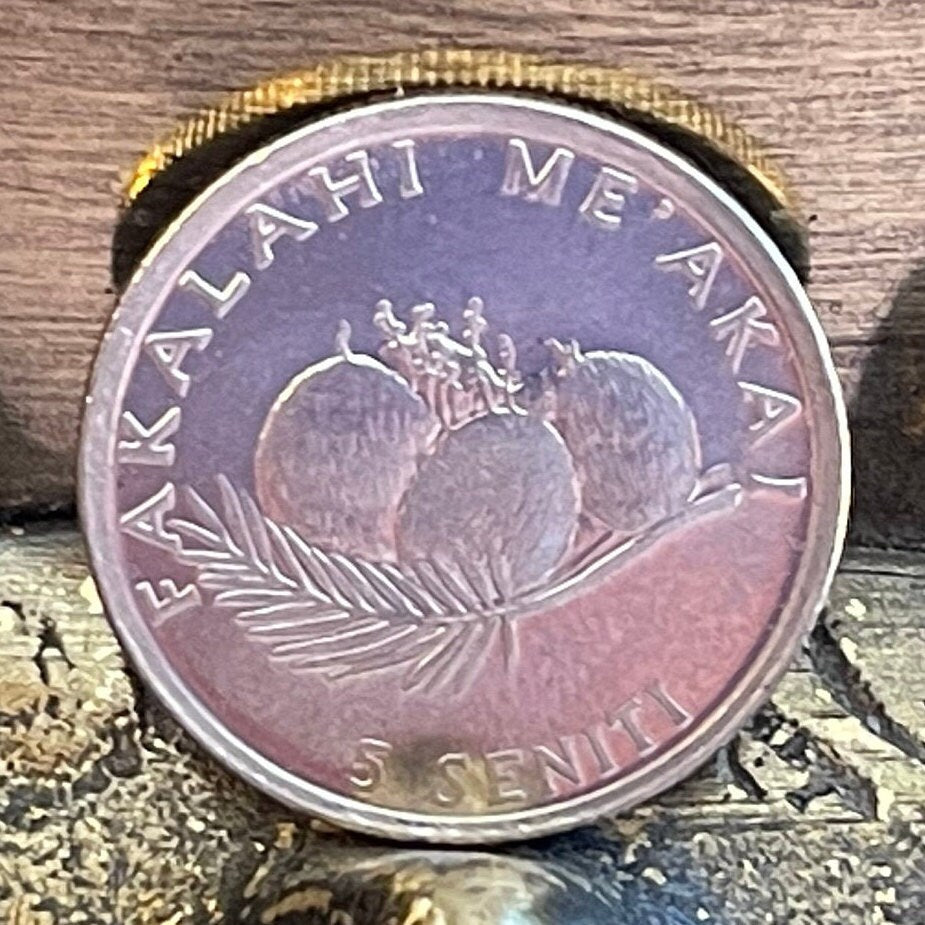 Hen and Chicks & Coconuts 5 Seniti Tonga Authentic Coin Money for Jewelry and Craft Making