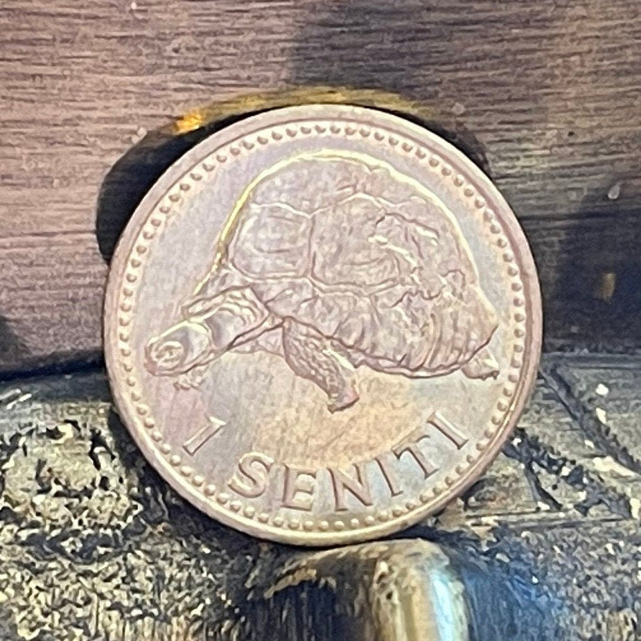 King Malila the Giant Tortoise & King Taufa'ahau Tupou IV 1 Seniti Tonga Authentic Coin Charm for Jewelry and Craft Making