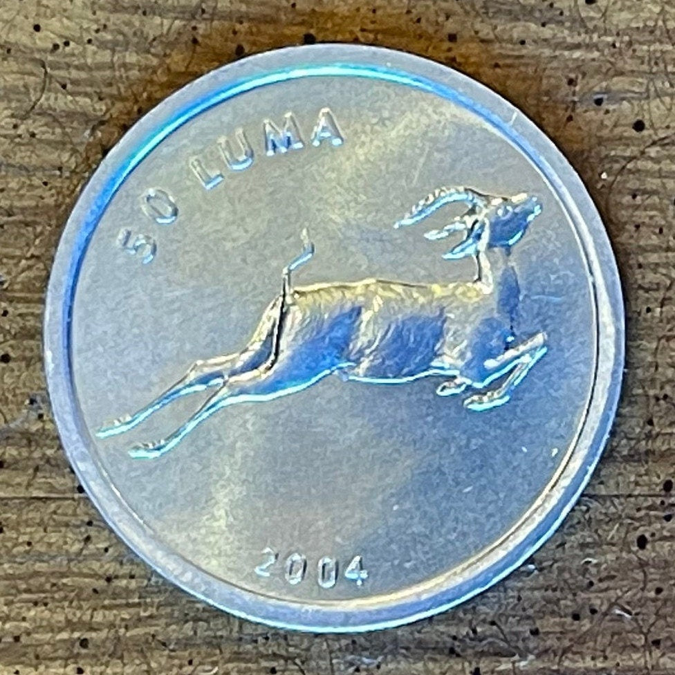 Goitered Gazelle 50 Luma Nagorno-Karabakh Authentic Coin Money for Jewelry and Craft Making (Hunting) (Ritual Sacrifice)
