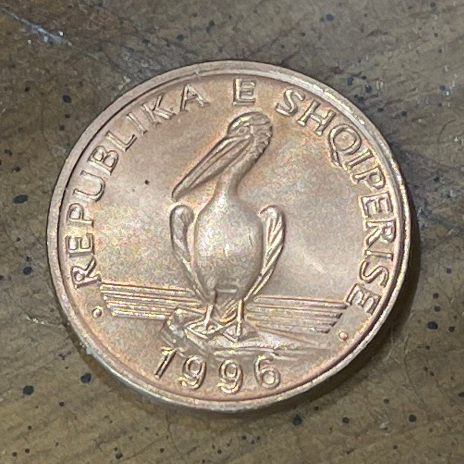 Dalmatian Pelican 1 Lek Albania Authentic Coin Money for Jewelry and Craft Making