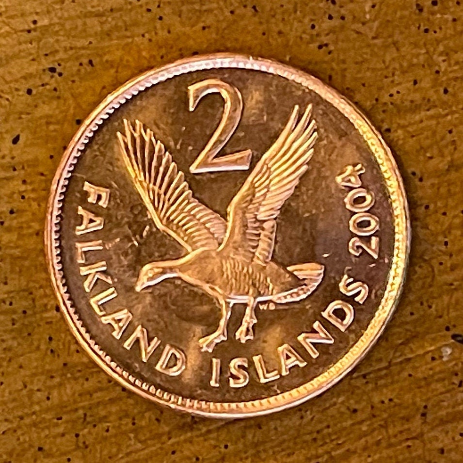 Greater Magellan Goose 2 Pence Falkland Islands Authentic Coin Money for Jewelry and Craft Making (Upland Goose)
