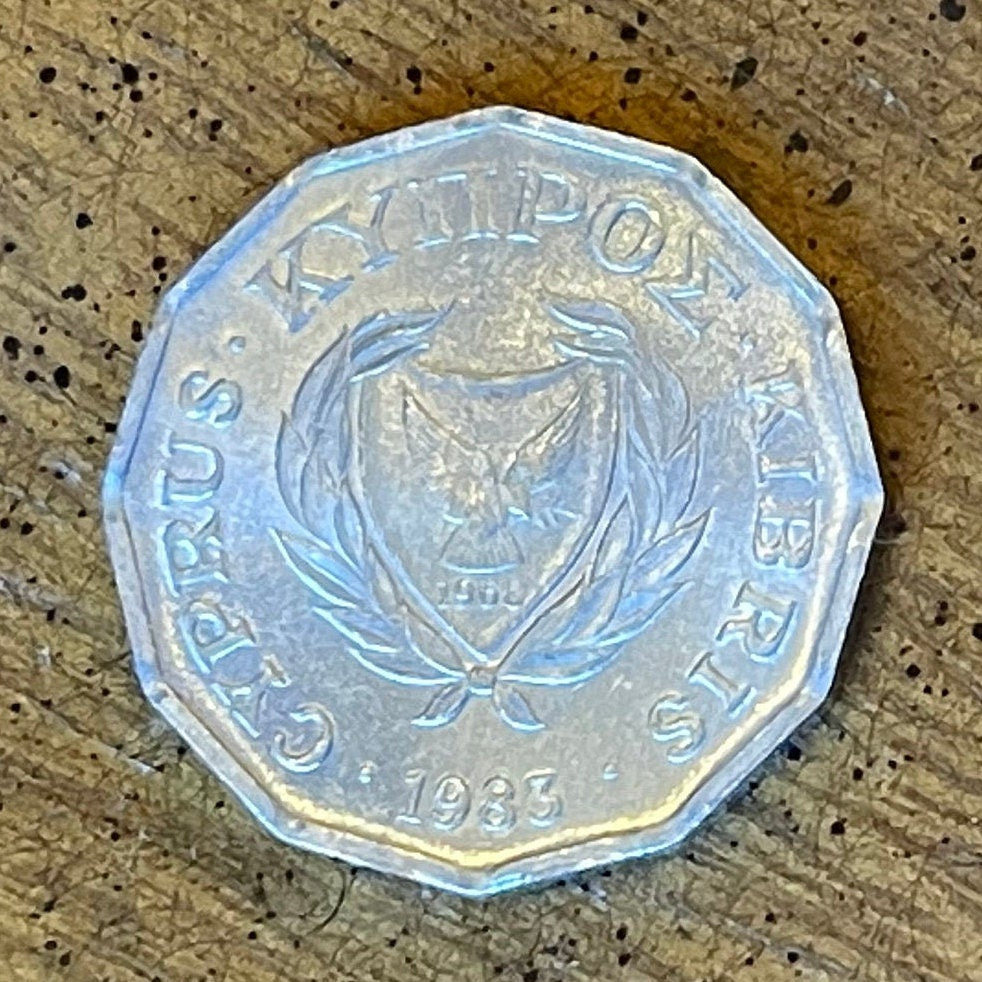 Cyclamen & Dove with Olive 1/2 Cent Cyprus Authentic Coin Money for Jewelry and Craft Making (Dodecahedron) (1983)