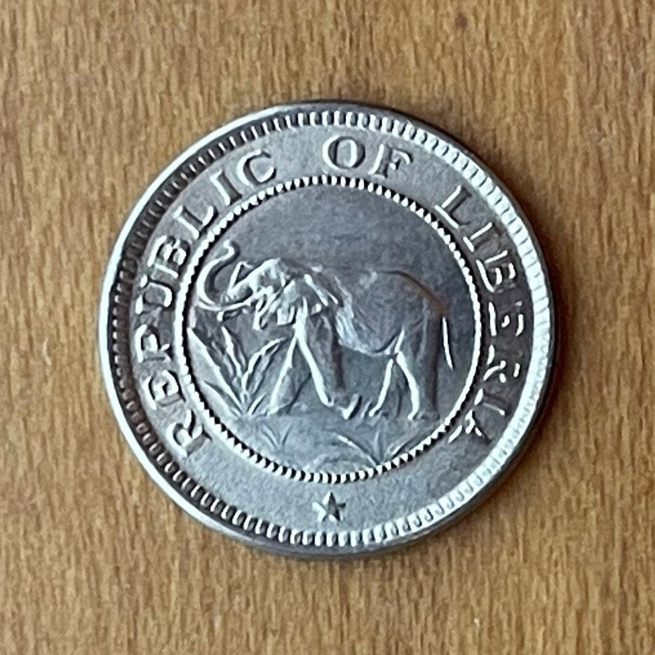 Forest Elephant & Palm Tree at Beach 1/2 Cent Liberia Authentic Coin Money for Jewelry and Craft Making (1941) (Freedom)