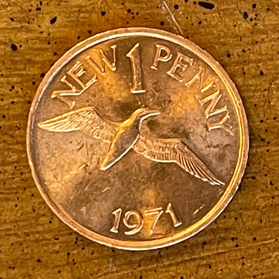 Northern Gannett 1 New Penny Guernsey Authentic Coin Money for Jewelry and Crafts (Seabird)(White Goddess) (Sea Goddess) (3 Leopards) 1971