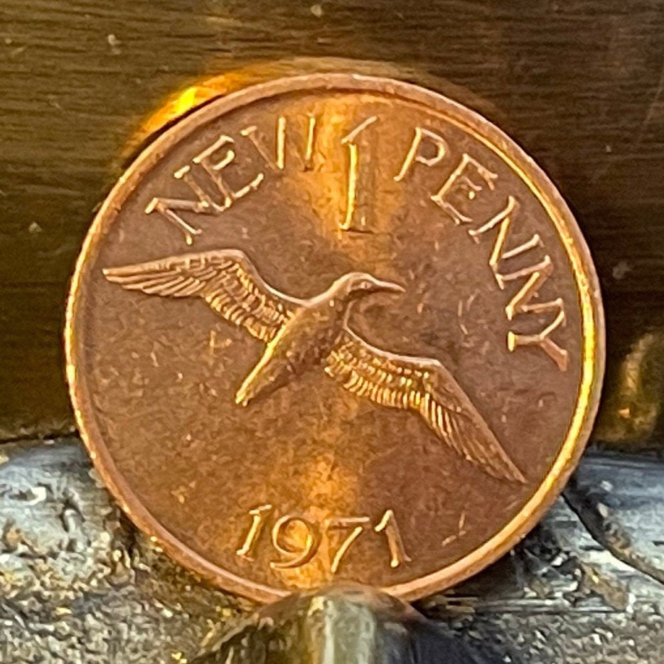 Northern Gannett 1 New Penny Guernsey Authentic Coin Money for Jewelry and Crafts (Seabird)(White Goddess) (Sea Goddess) (3 Leopards) 1971