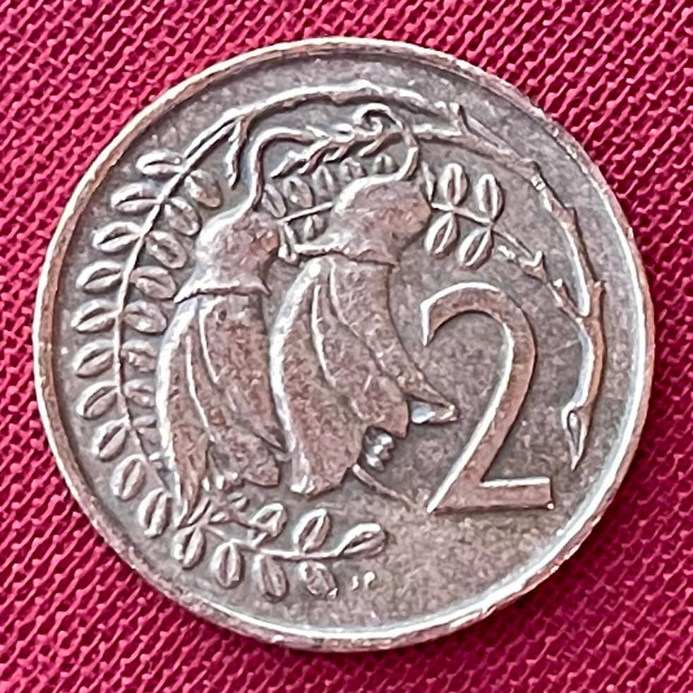 Kowhai Flowers 2 Cents New Zealand Authentic Coin Money for Jewelry and Craft Making