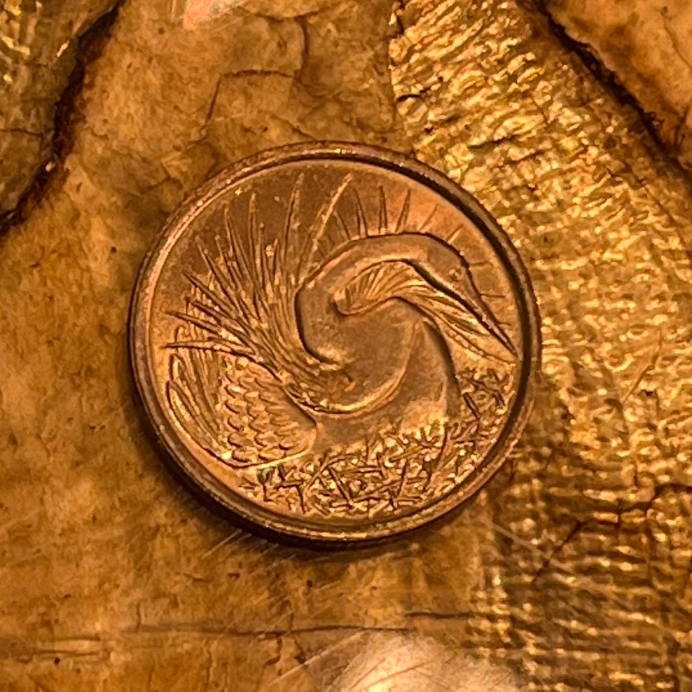 Snakebird Oriental Darter 5 Cents Singapore Authentic Coin Money for Jewelry and Craft Making