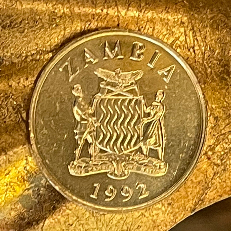 Taita Falcons 1 Kwacha Zambia Authentic Coin Money for Jewelry and Craft Making (1992)