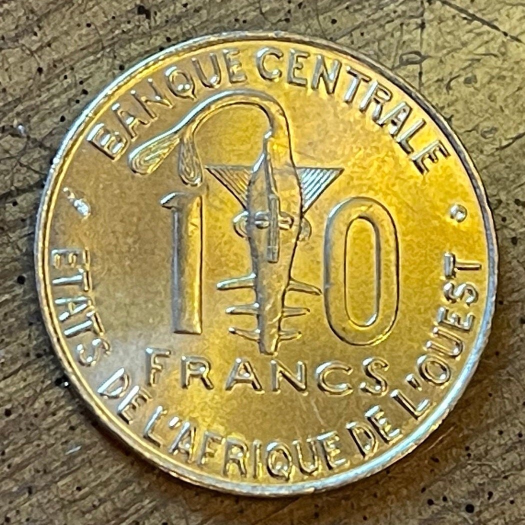 Akan Sawfish Goldweight & Human Right to Water: Women at Hand-Pump Well 10 CFA Francs West African States Authentic Coin Money for Jewelry