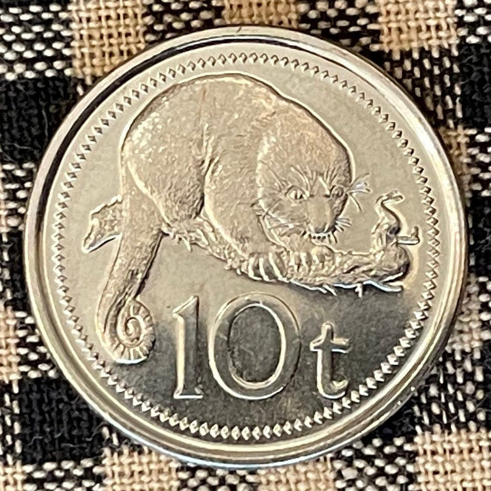 Common Spotted Cuscus & Bird of Paradise 10 Toea Papua New Guinea Authentic Coin Money for Jewelry and Craft Making