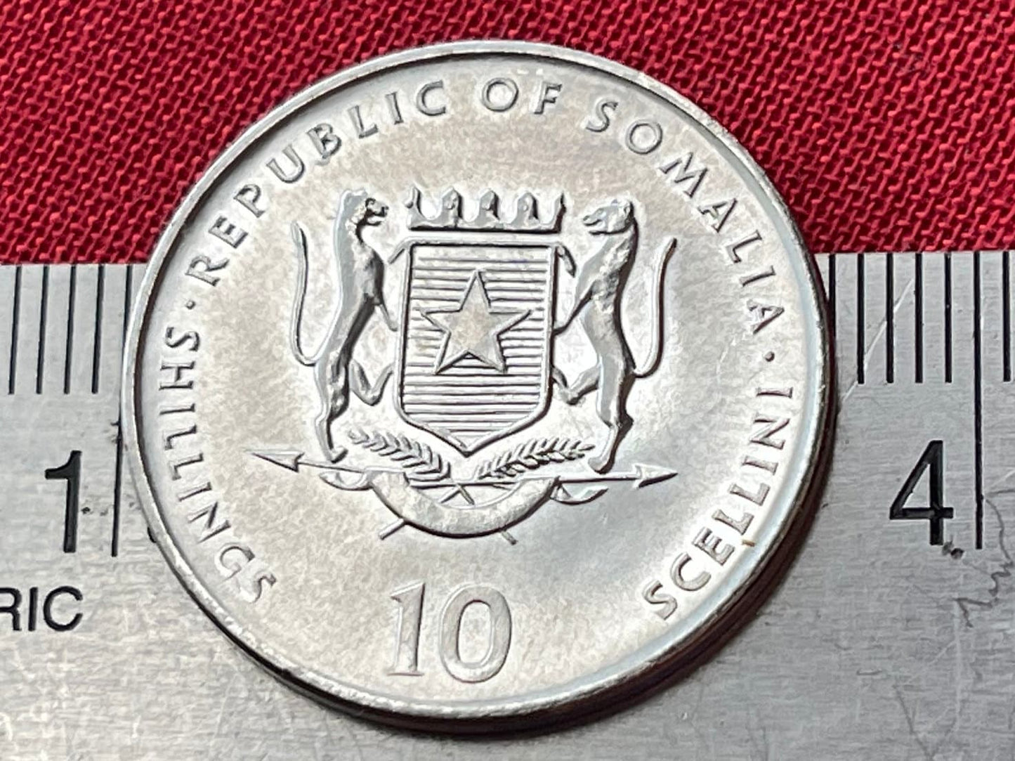 Year of the Pig Chinese Zodiac 10 Shillings Somalia Authentic Coin Money for Jewelry and Craft Making (2000)