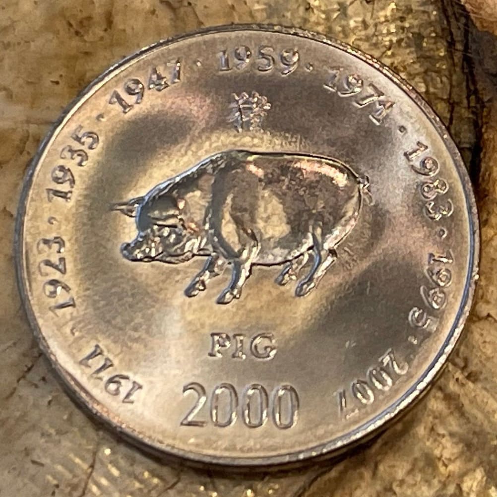 Year of the Pig Chinese Zodiac 10 Shillings Somalia Authentic Coin Money for Jewelry and Craft Making (2000)