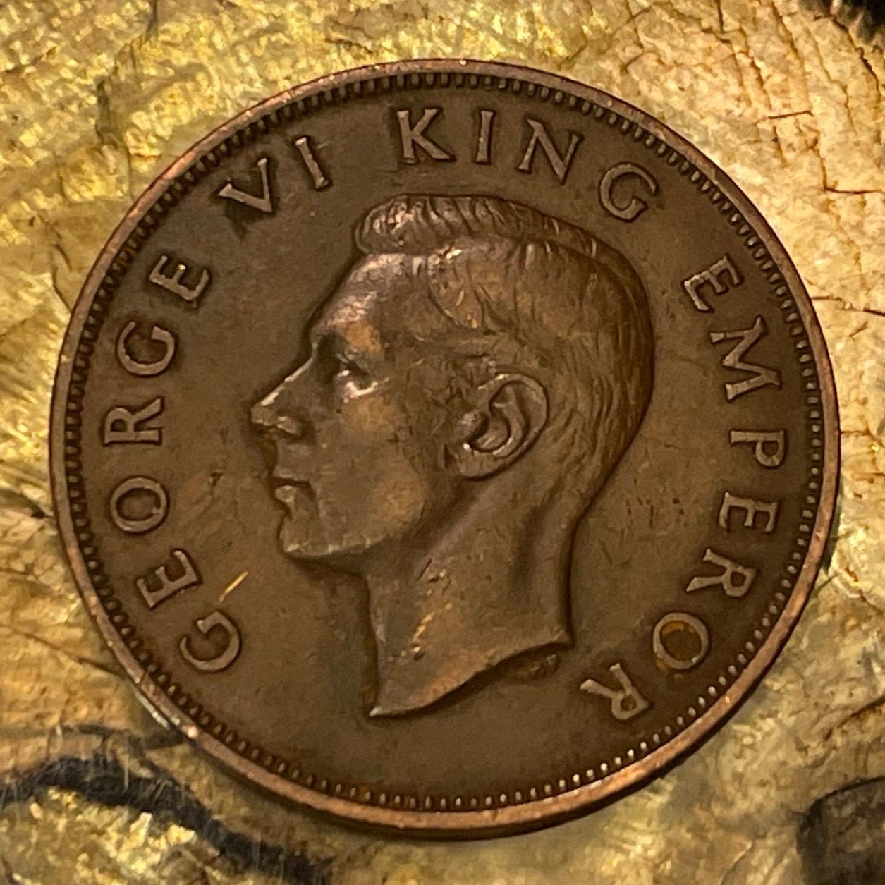 Tui Bird & King George VI 1 Penny New Zealand Authentic Coin Money for Jewelry and Craft Making (Maori) (Talking Bird) (Kowhai)