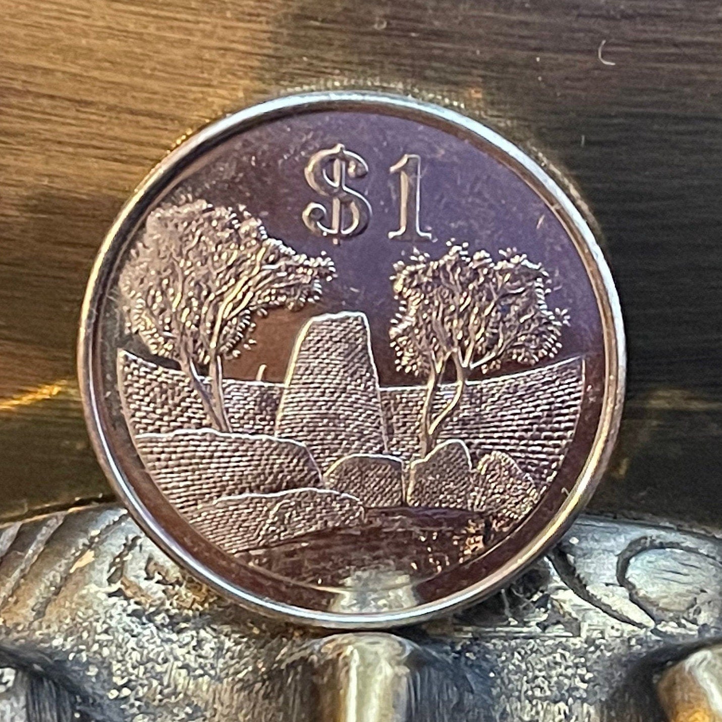 Great Zimbabwe City 1 Dollar Zimbabwe Authentic Coin Money for Jewelry and Craft Making (Great Zimbabwe Bird) (Bacheleur Eagle) (Shona)