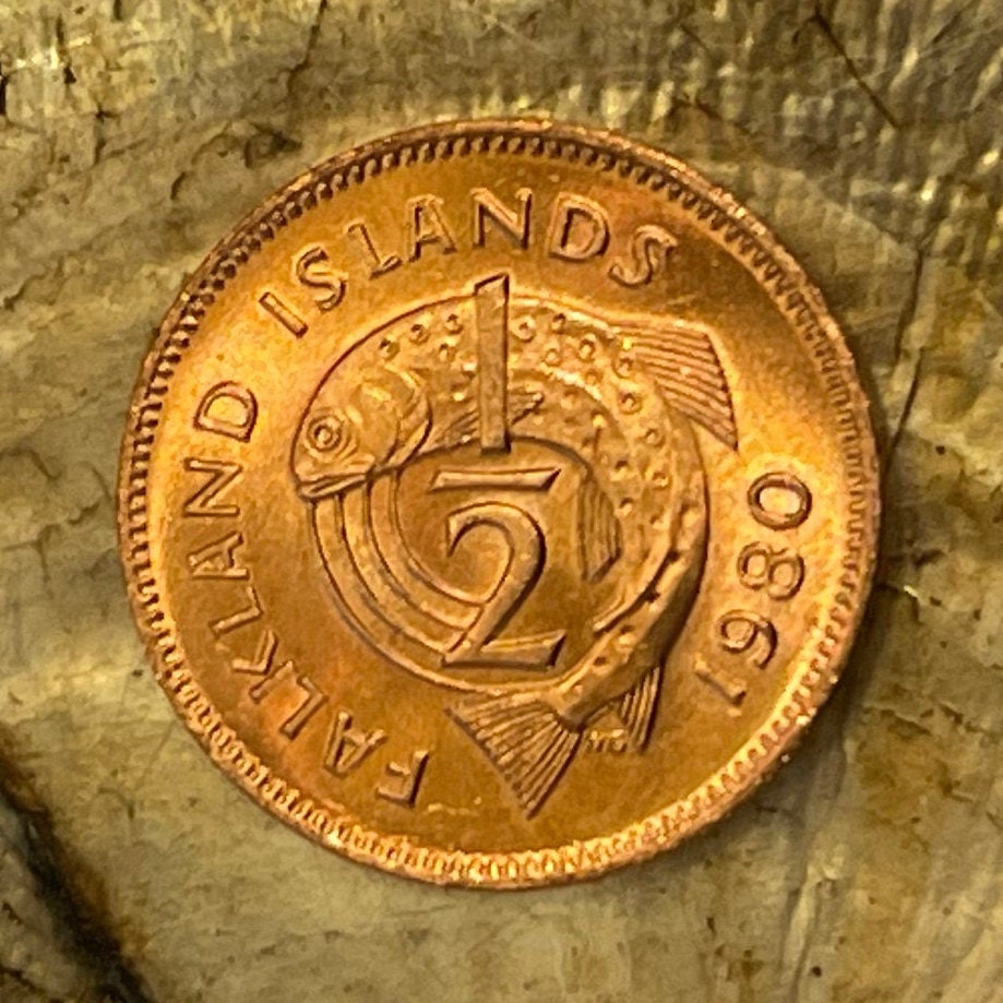 Salmon 1/2 Cent Falkland Islands Authentic Coin Money for Jewelry and Craft Making