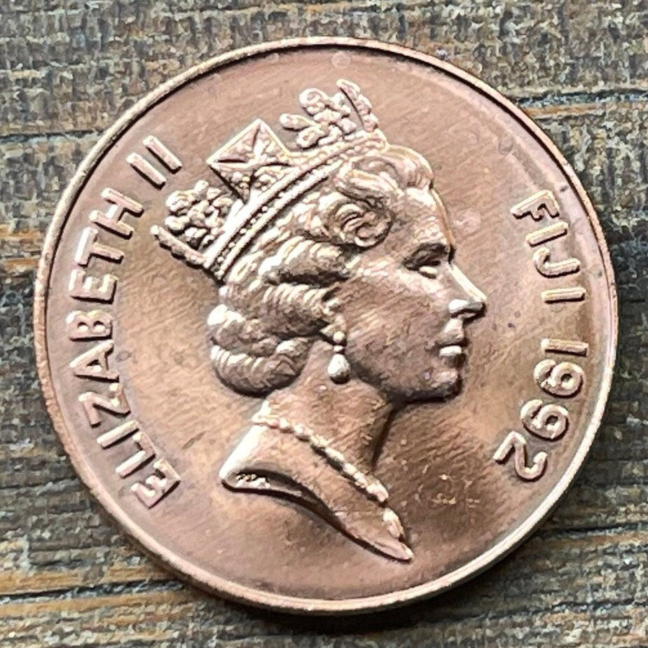 Palm Fan Umbrella 2 Cents Fiji Authentic Coin Money for Jewelry and Craft Making (Iri masei) (Ai viu) (Fiji Fan Palm)