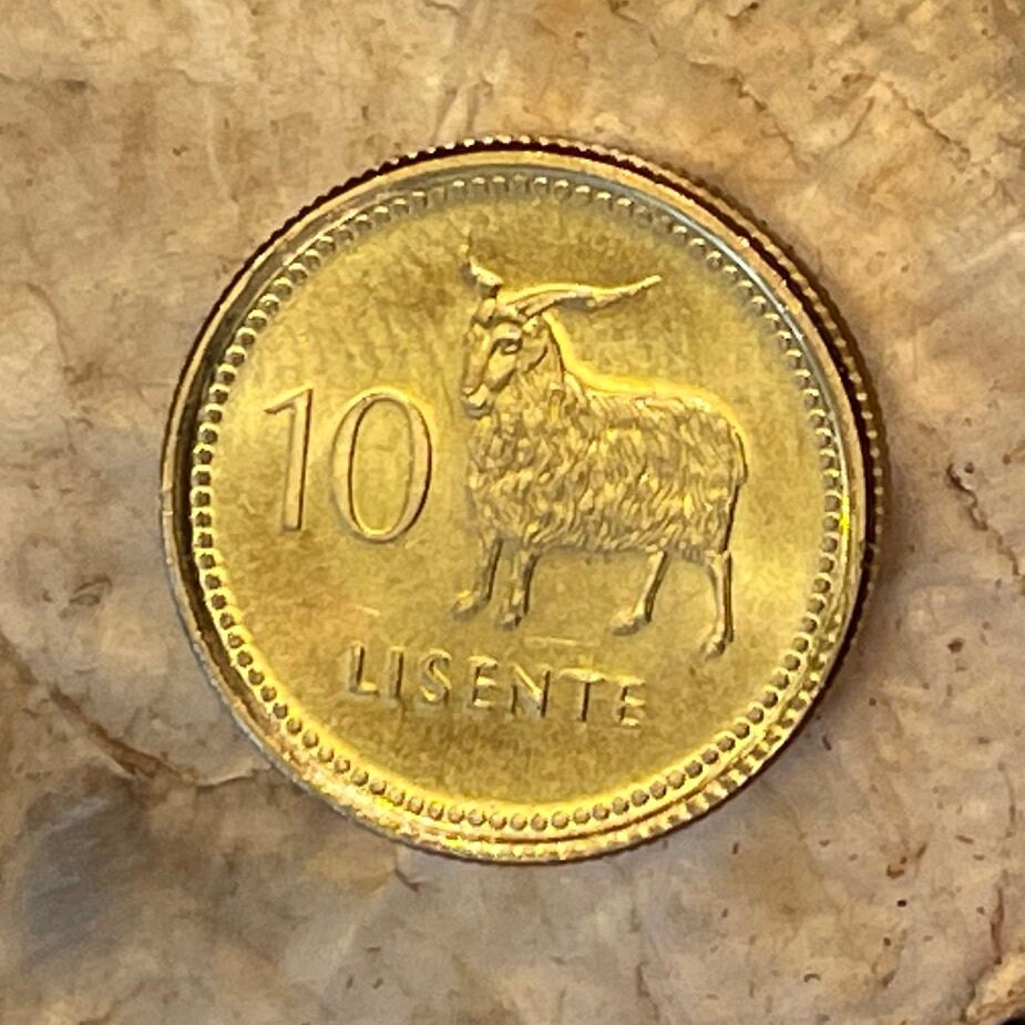 Angora Goat 10 Lisente Lesotho Authentic Coin Money for Jewelry and Craft Making (Mohair)