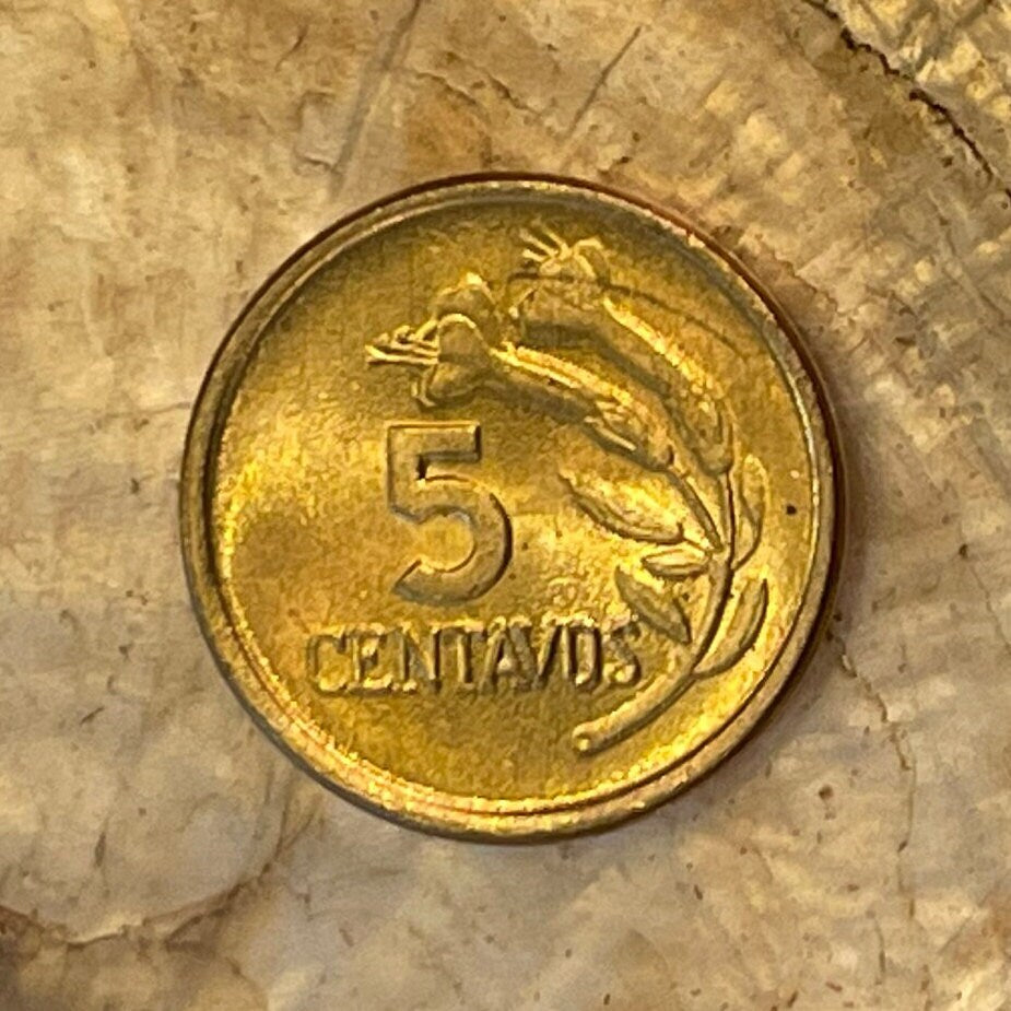 Cinchona Quinine Flower 5 Centavos Peru Authentic Coin Money for Jewelry (Malaria) (Medicinal) (Get Well Soon) (Curative) (Tonic Water)