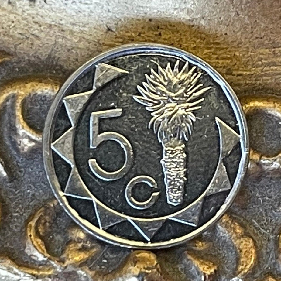 Aloe Plant 5 Cents Namibia Authentic Coin Money for Jewelry and Craft Making (Mopane Aloe) (Aloe Lotion)