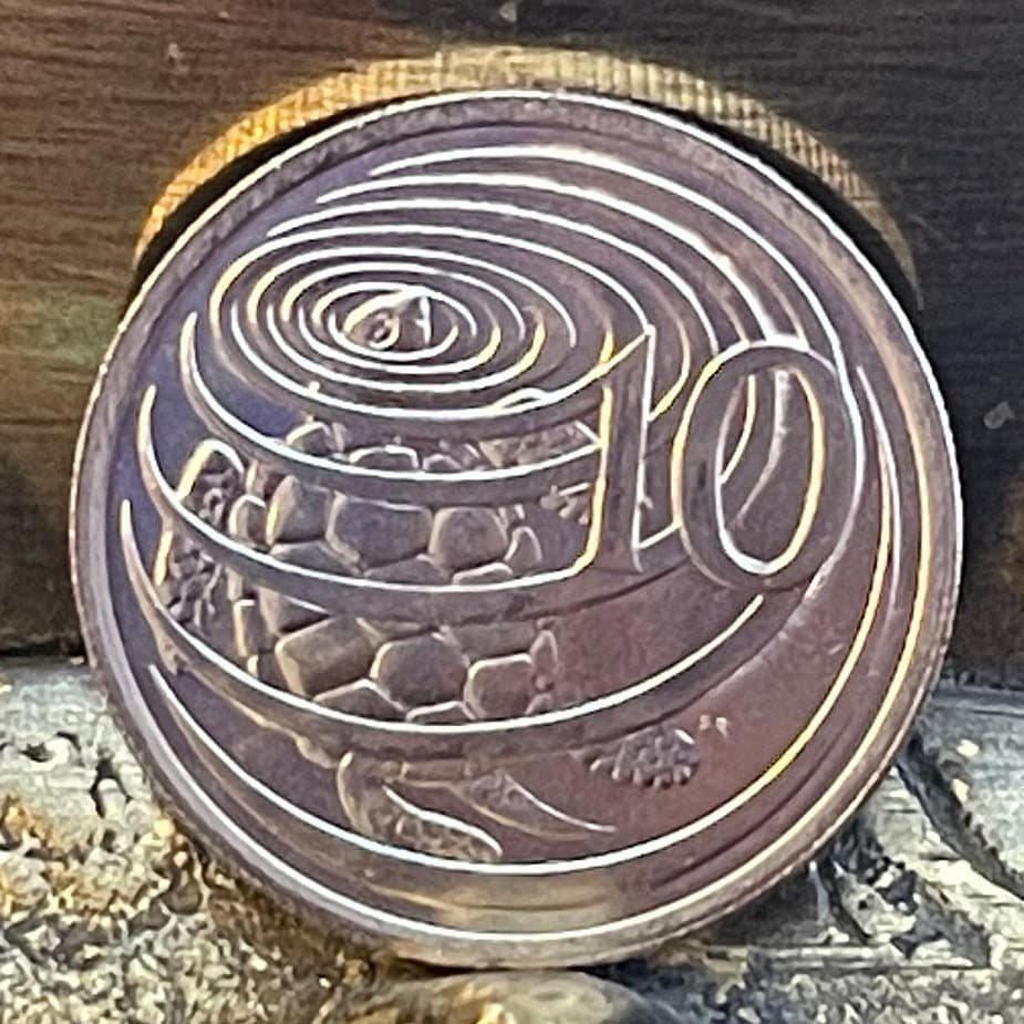 Sea Turtle Surfacing 10 Cents Cayman Islands Authentic Coin Money for Jewelry and Craft Making (Las Tortugas) (Green Sea Turtle)