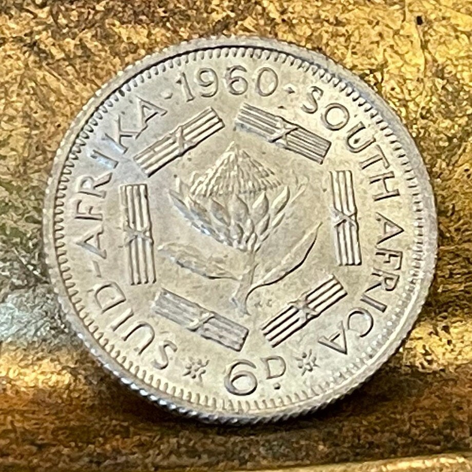 Sugar Bush Silver Sixpence South Africa Authentic Coin Money for Jewelry and Craft Making (1960) (Protea)