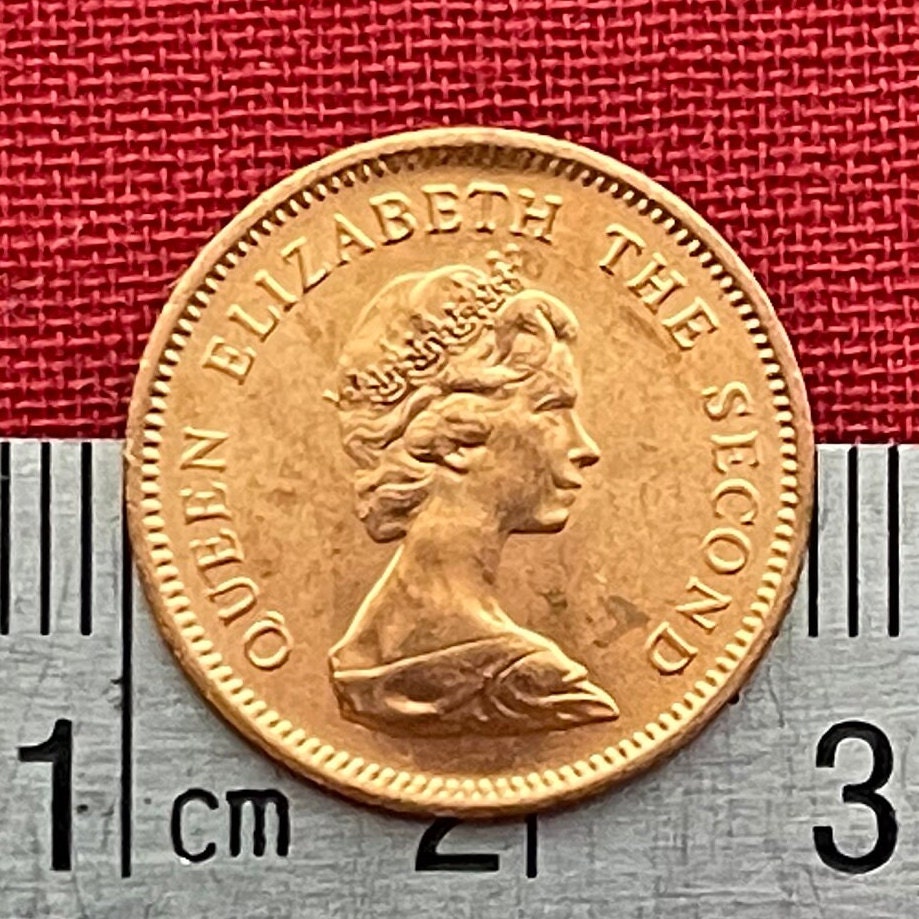 Salmon 1/2 Cent Falkland Islands Authentic Coin Money for Jewelry and Craft Making