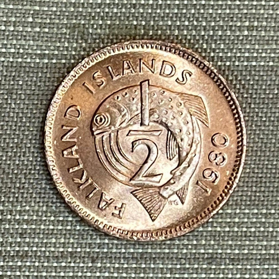 Salmon 1/2 Cent Falkland Islands Authentic Coin Money for Jewelry and Craft Making