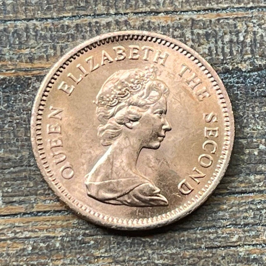 Salmon 1/2 Cent Falkland Islands Authentic Coin Money for Jewelry and Craft Making
