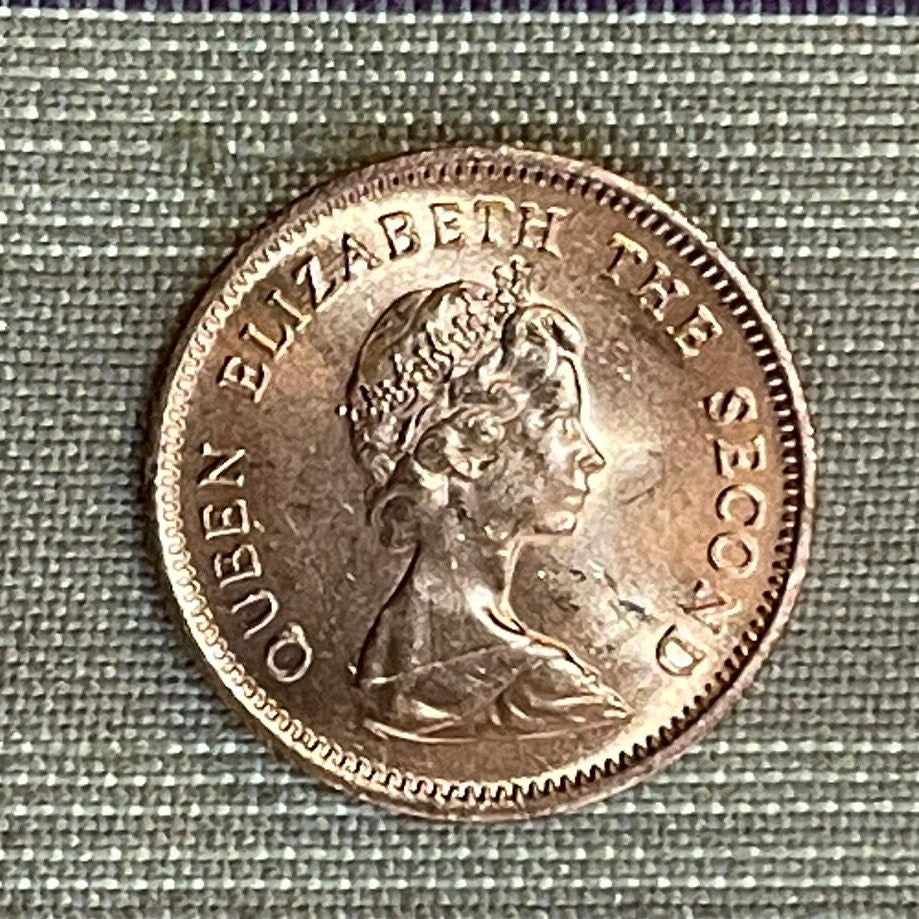 Salmon 1/2 Cent Falkland Islands Authentic Coin Money for Jewelry and Craft Making