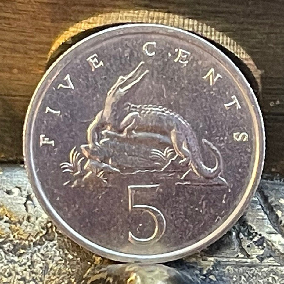 American Crocodile 5 Cents Jamaica Authentic Coin Money for Jewelry and Crafts Making (Eat You Alive) (Gobble You Up) (Crocodile Smile)