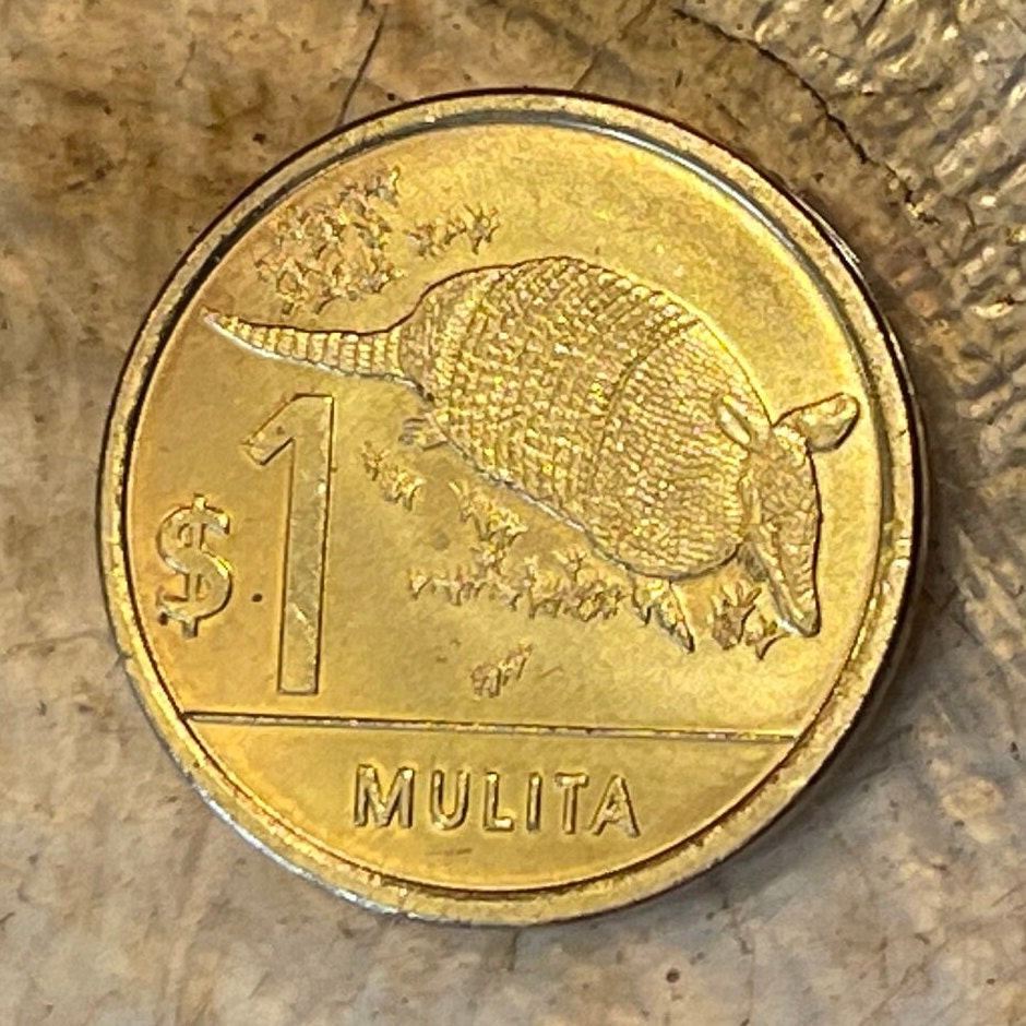 Armadillo 1 Peso Uruguay Authentic Coin Money for Jewelry and Craft Making (Mulita) (Hoover Hog) (Charango)