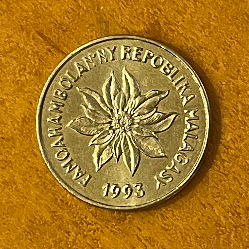 Poinsettia & Zebu 1 Franc Madagascar Authentic Coin Money for Jewelry and Craft Making (Christmas Flower)