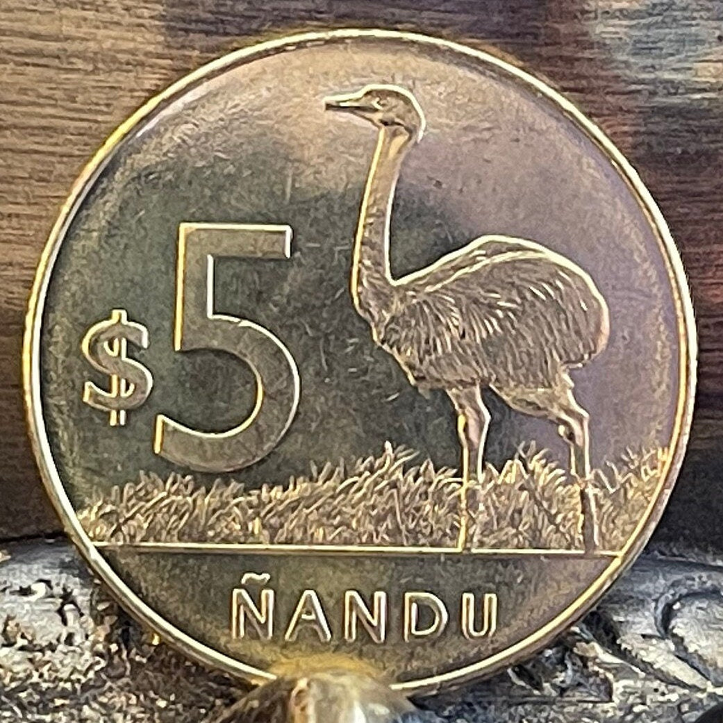 Greater Rhea 5 Pesos Uruguay Authentic Coin Money for Jewelry and Craft Making (Ñandu) (Ratite)