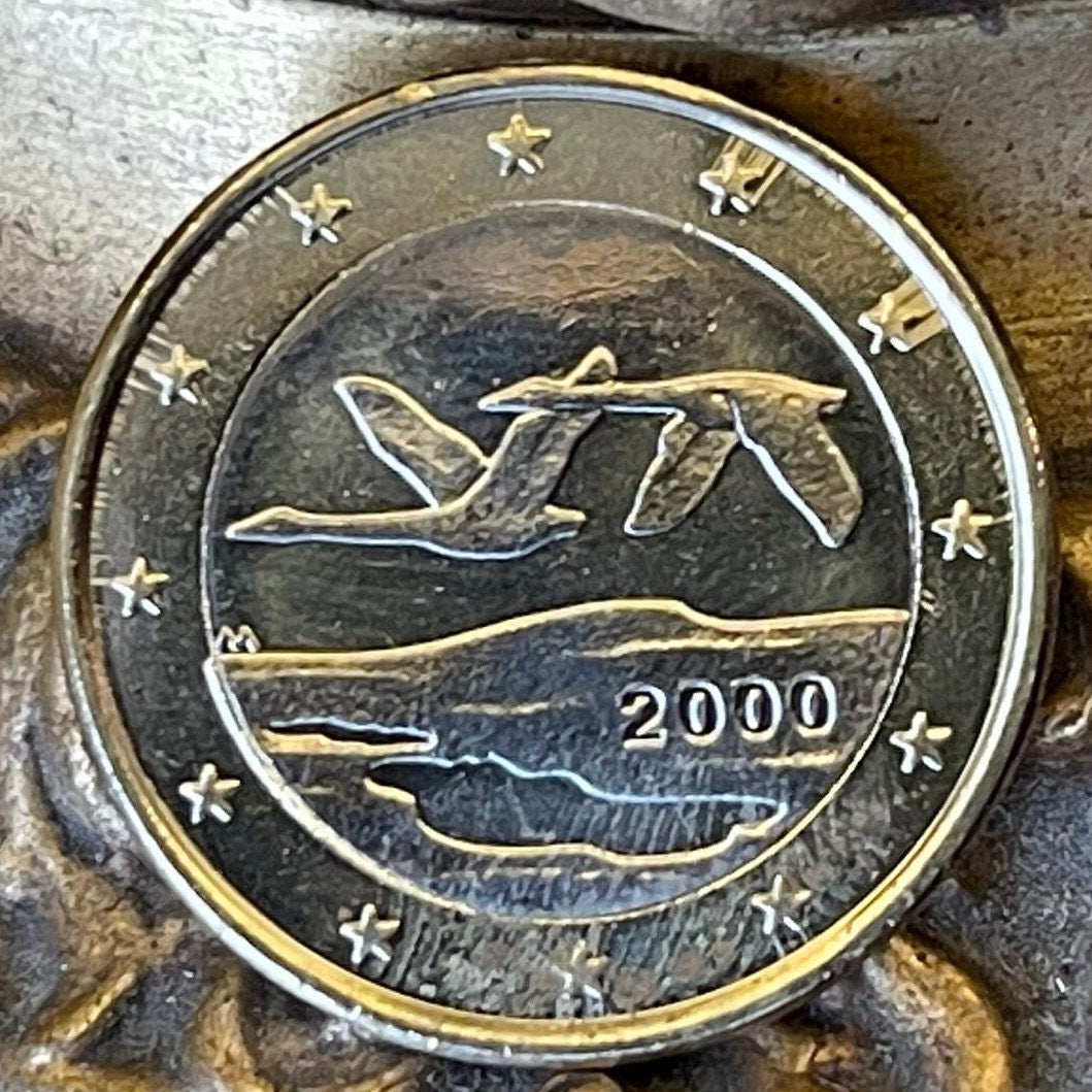 Whooper Swans 1 Euro Finland Authentic Coin Money for Jewelry and Craft Making (Trumpeter Swan) (Swan Song) (Wild Swan) (Bimetallic)