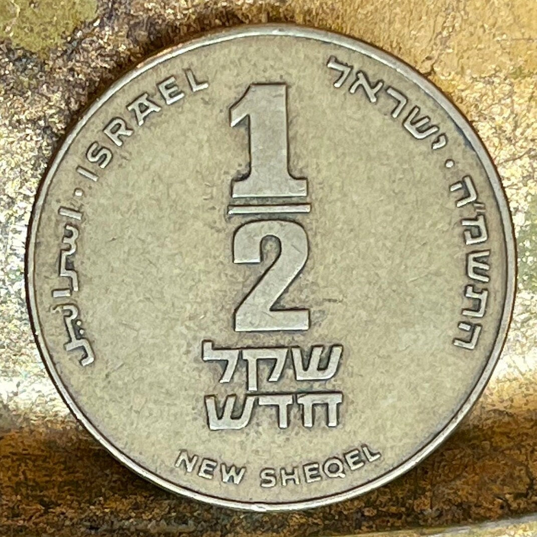 Kinnor Lyre & Menorah "Seal of Maadana, the King's Daughter" 1/2 Sheqel Israel Authentic Coin Money for Jewelry (Shekel) (Hanukkah)