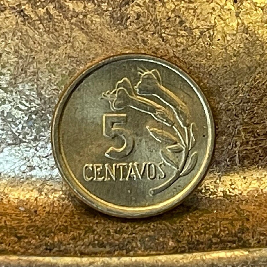 Cinchona Quinine Flower 5 Centavos Peru Authentic Coin Money for Jewelry (Malaria) (Medicinal) (Get Well Soon) (Curative) (Tonic Water)