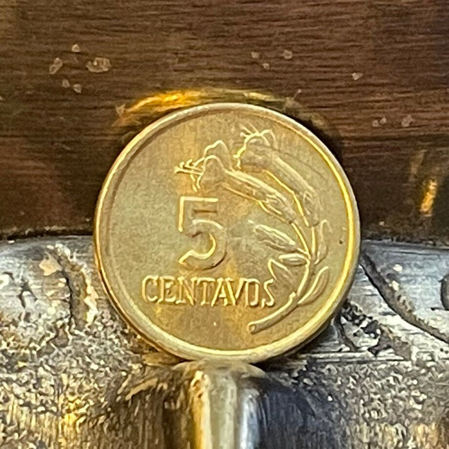 Cinchona Quinine Flower 5 Centavos Peru Authentic Coin Money for Jewelry (Malaria) (Medicinal) (Get Well Soon) (Curative) (Tonic Water)