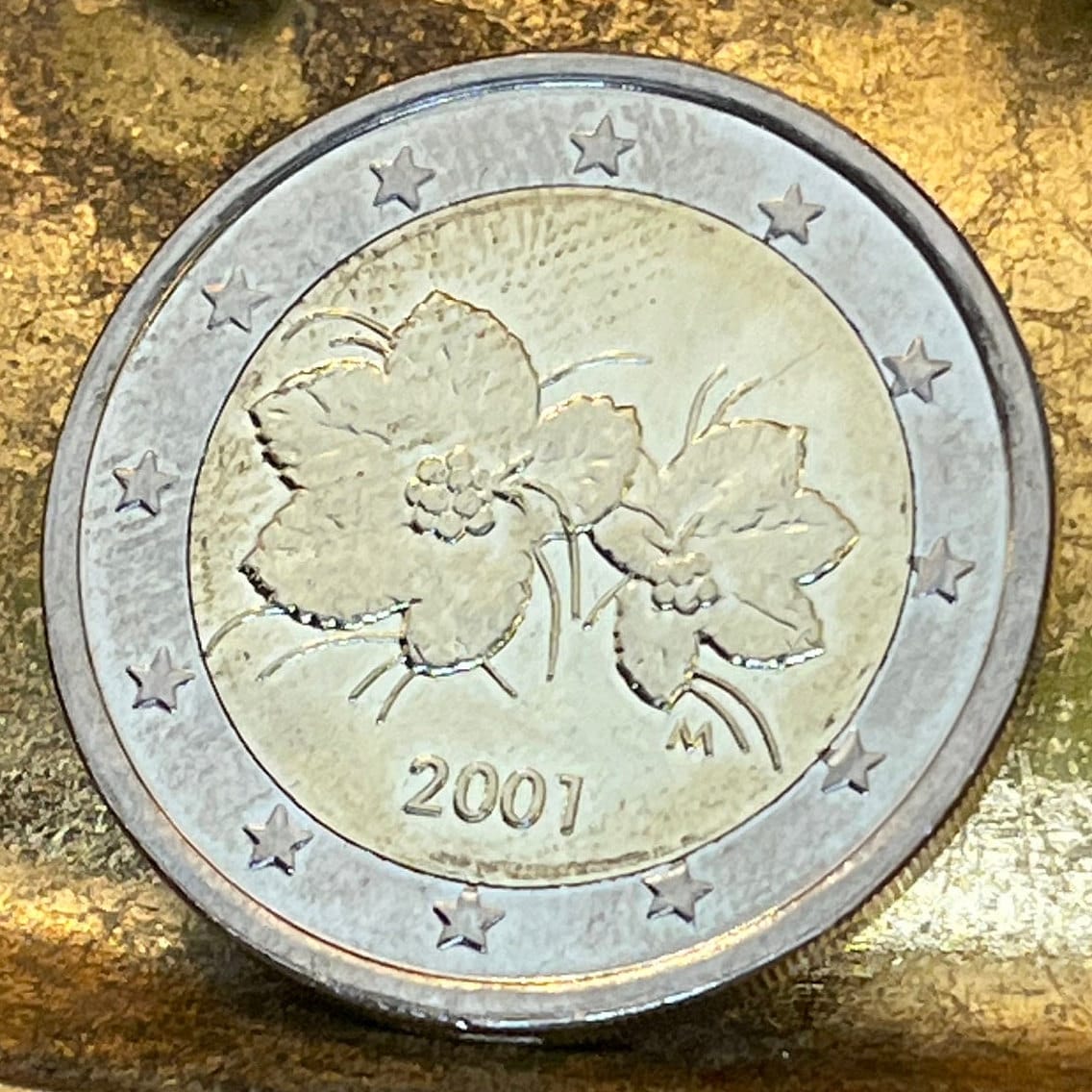 Cloudberry Flowers & Berries 2 Euros Finland Authentic Coin Money for Jewelry and Craft Making (Bimetallic)