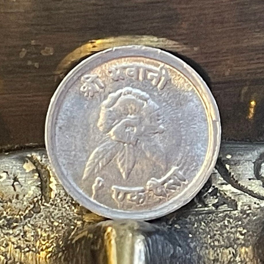 Rhododendron & Mount Everest with Trident Trishula 1 Paisa Nepal Authentic Coin Charm for Jewelry (Goddess Taleju) (Sagarmatha)