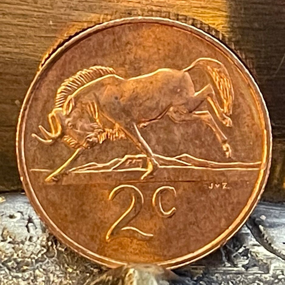 Wildebeest Gnu 2 Cents South Africa Authentic Coin Money for Jewelry and Craft Making (Antelope) (African Wildlife)