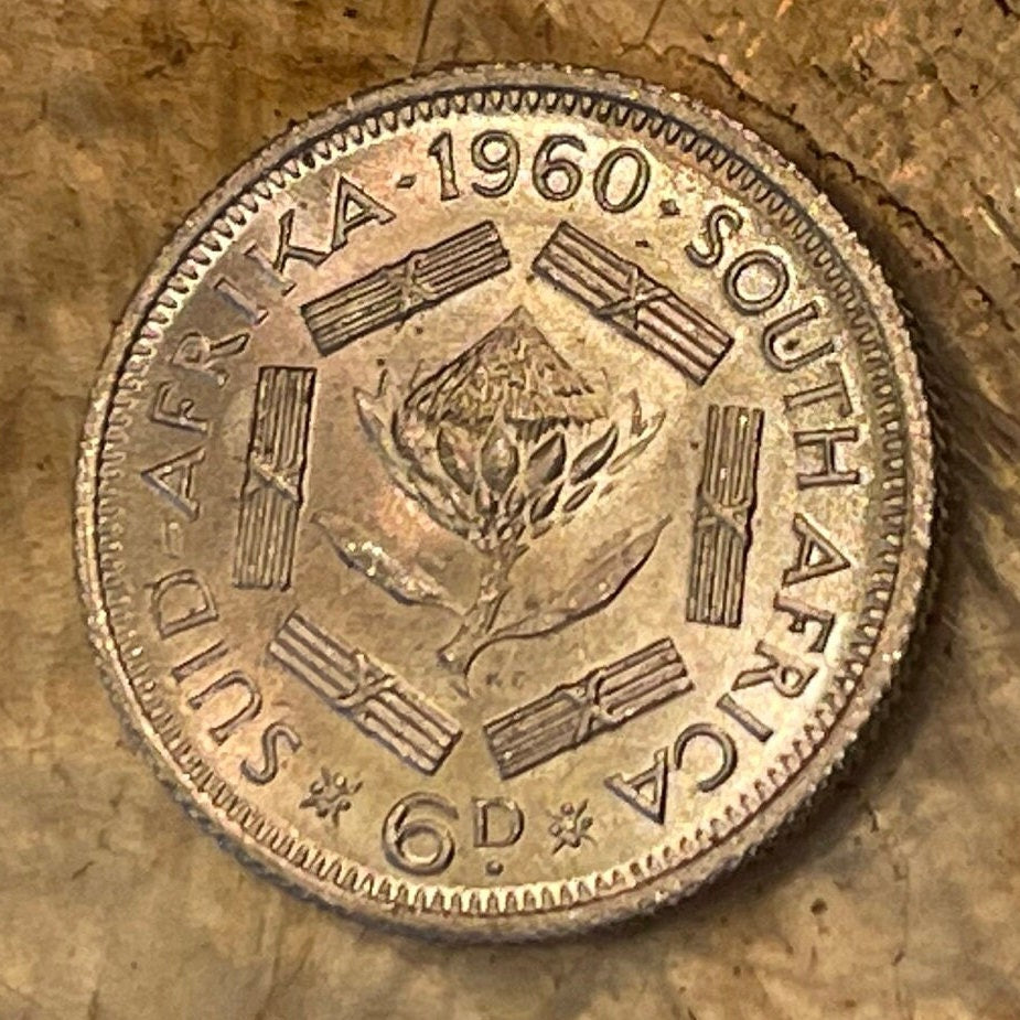 Sugar Bush Silver Sixpence South Africa Authentic Coin Money for Jewelry and Craft Making (1960) (Protea)